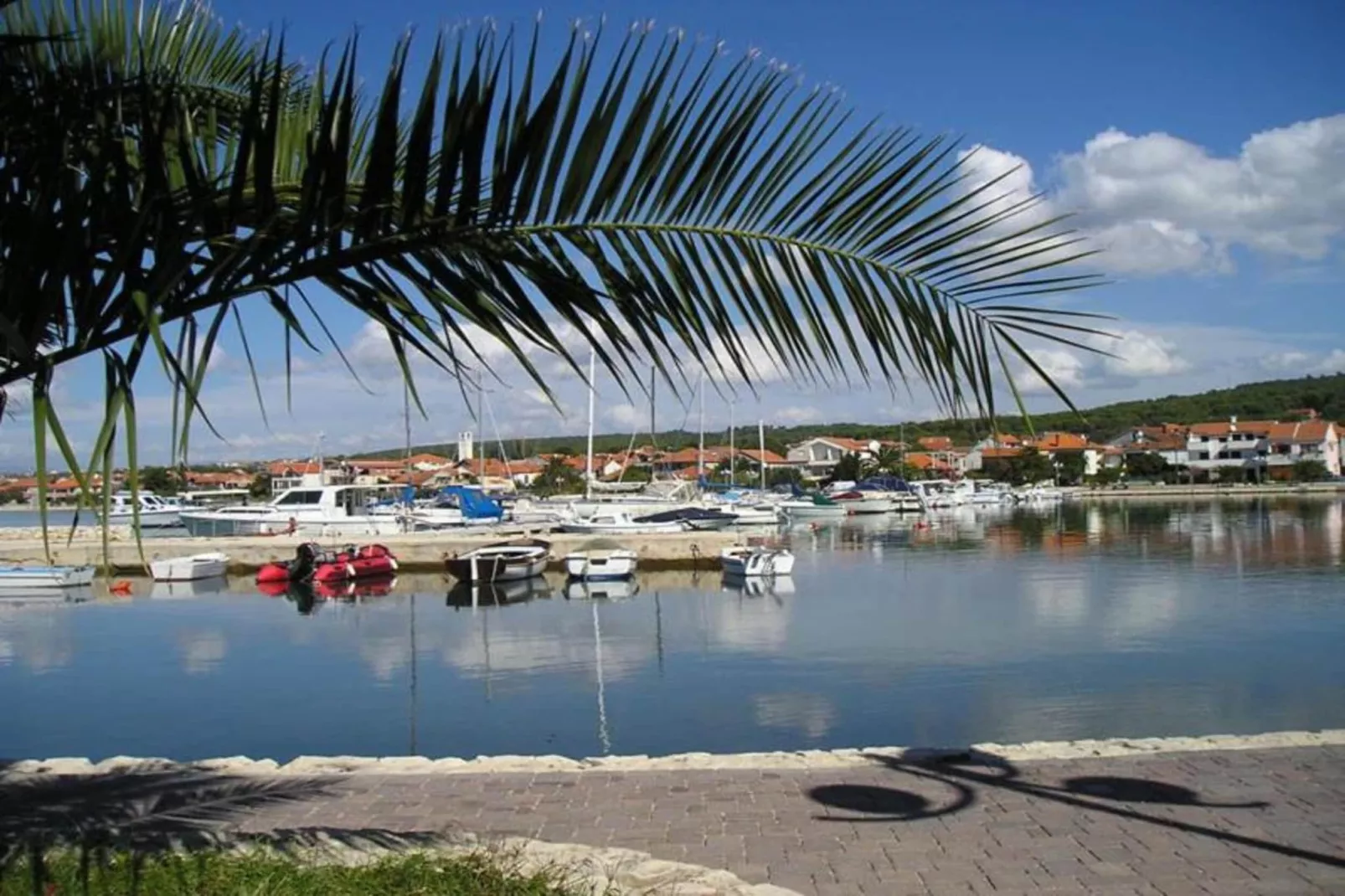 Mediterano 4-Gebieden zomer 1km
