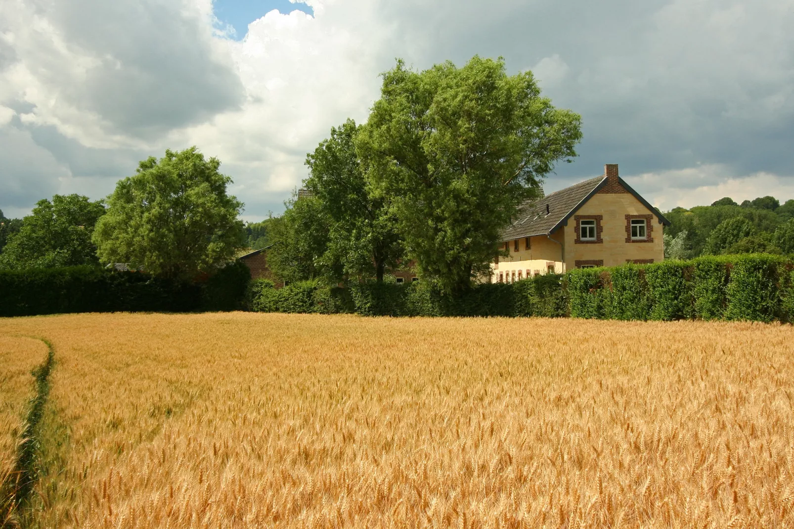 Hoeve in gunne winkel 1-Buitenkant zomer