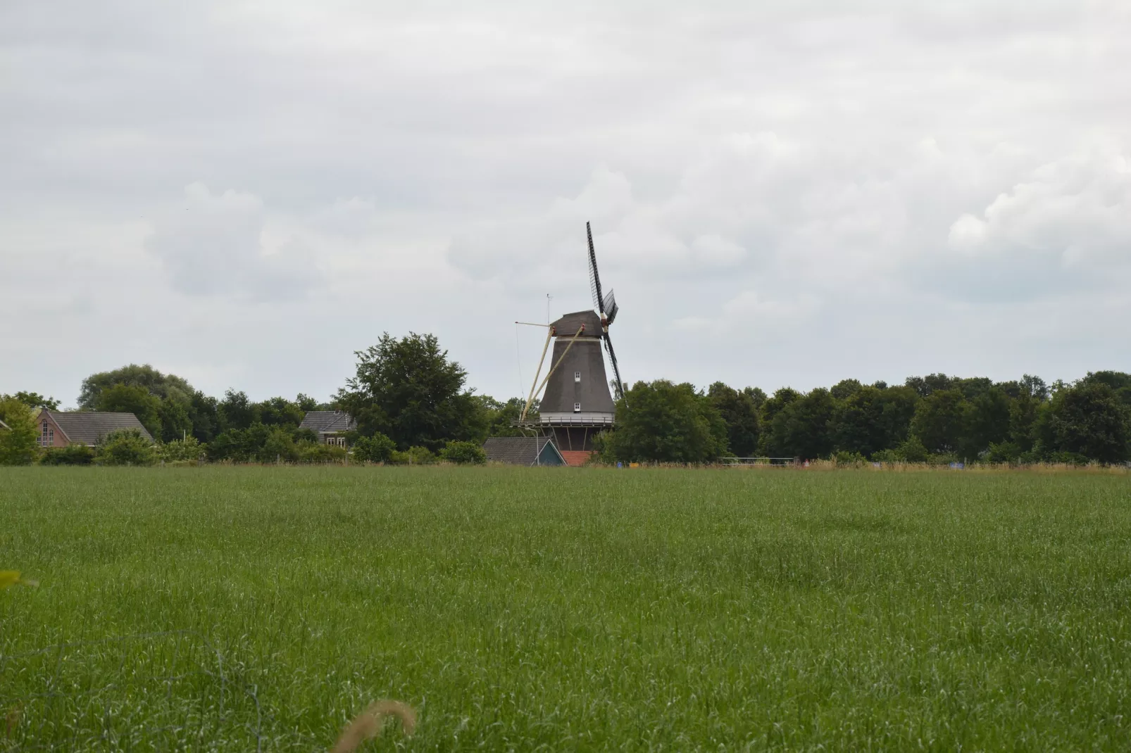 Kabinet-Gebieden zomer 5km