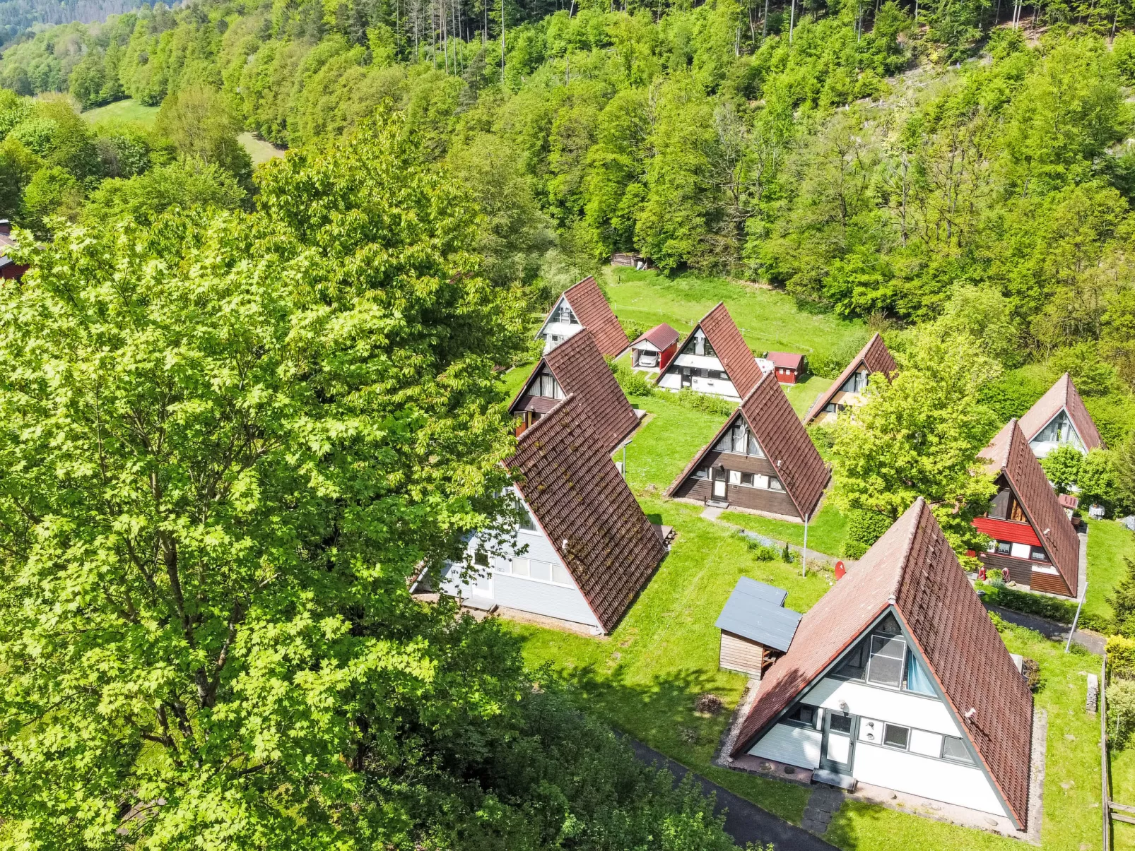 Robinson-Buiten