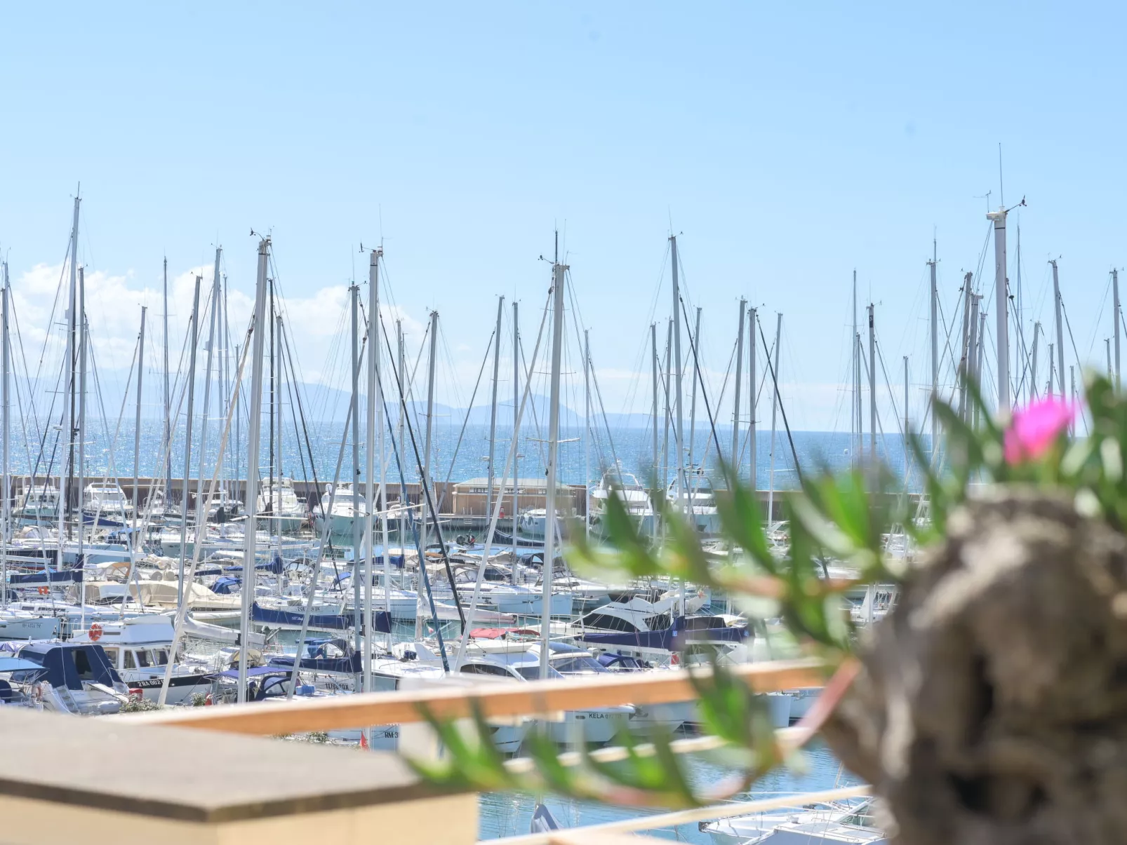 La Marina
