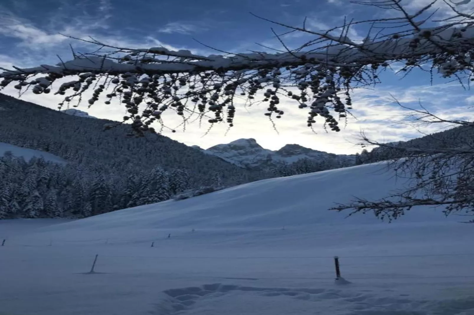 Beautiful Alpine Luxury Flat in Rougemont-Gebieden zomer 20km