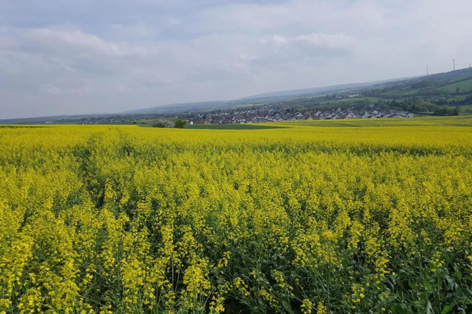 Ferienwohnung Bad Camberg im Taunus-Gebieden zomer 20km