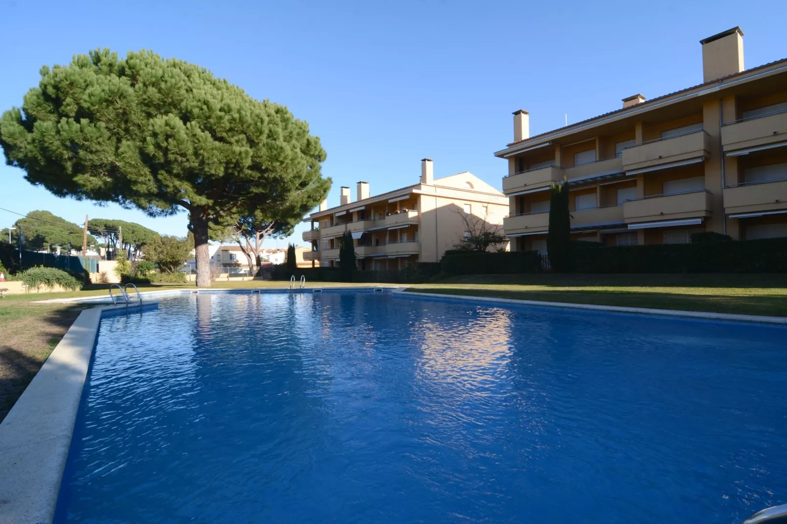 RIELLS BLAU E 202