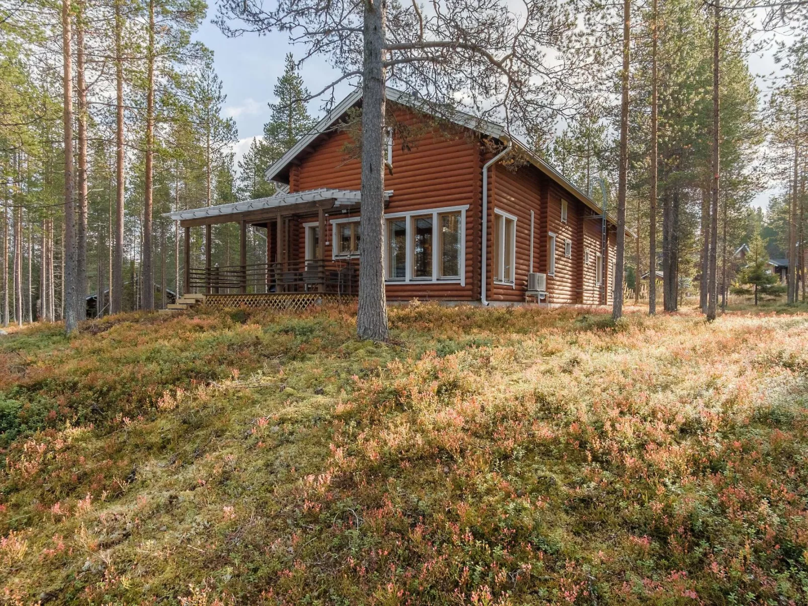 Kevätruska b