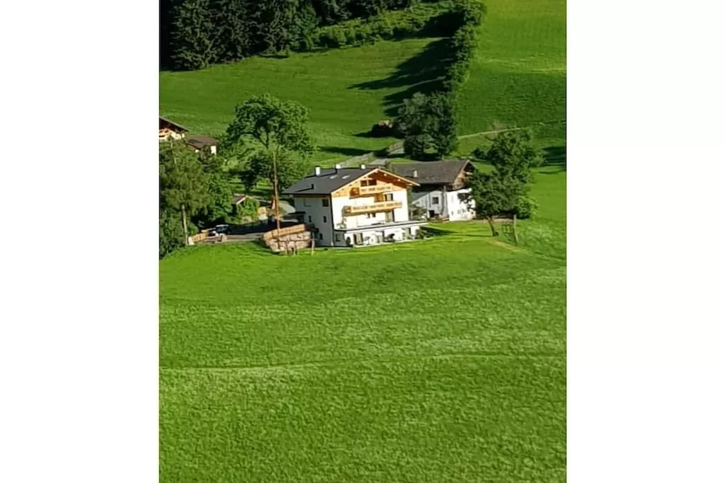 323644