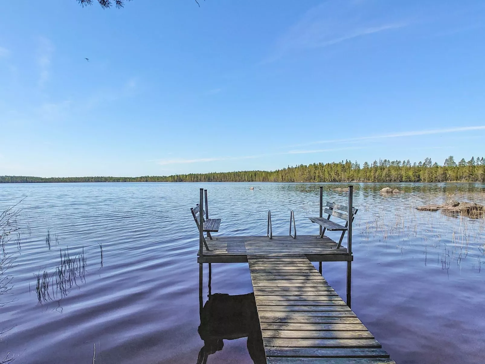 Haapala