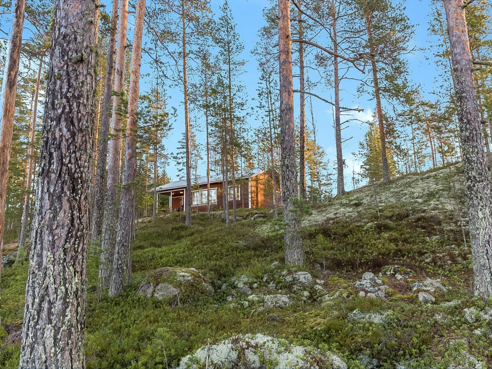Kettukallio