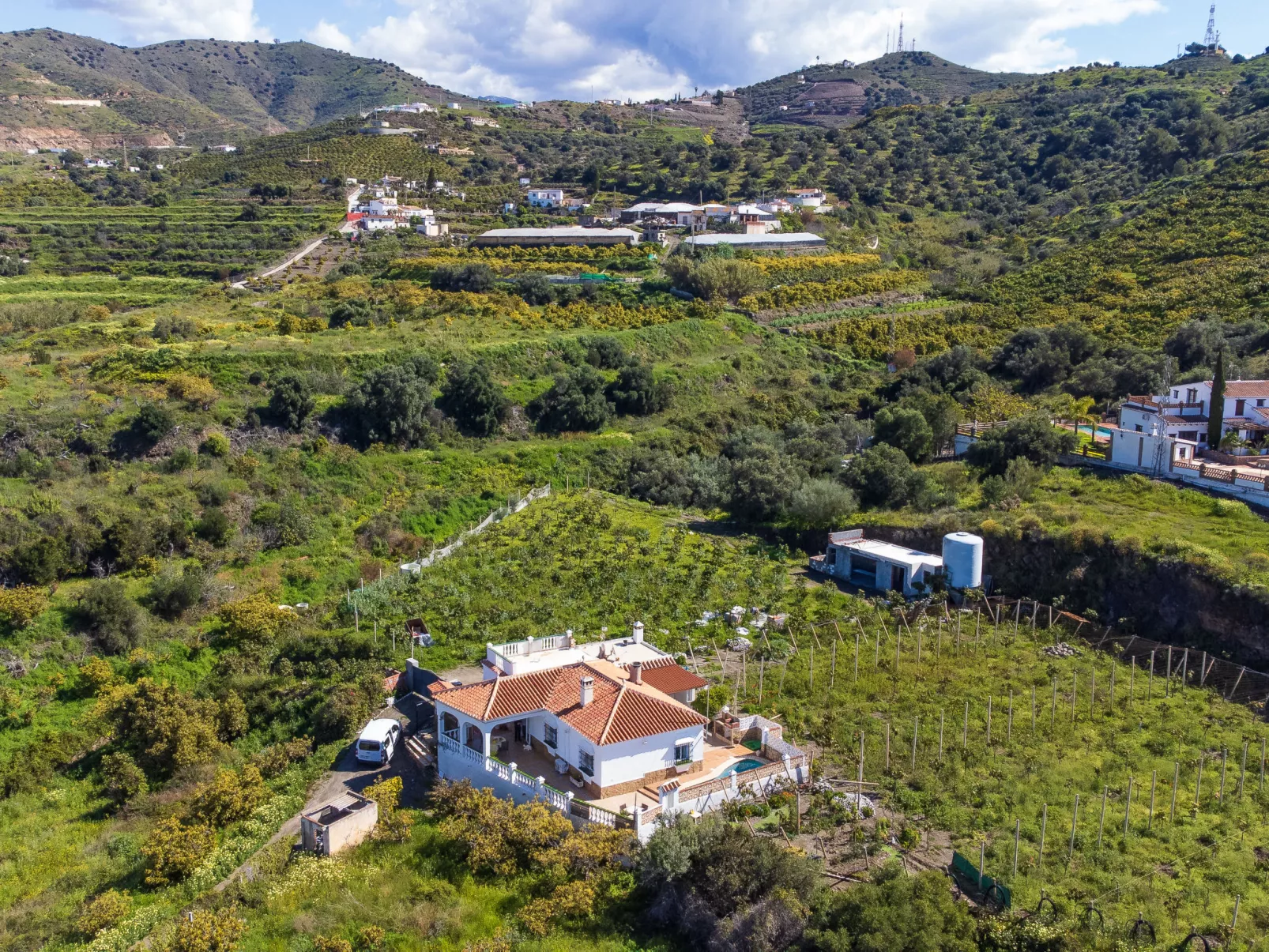 Paloma Blanca