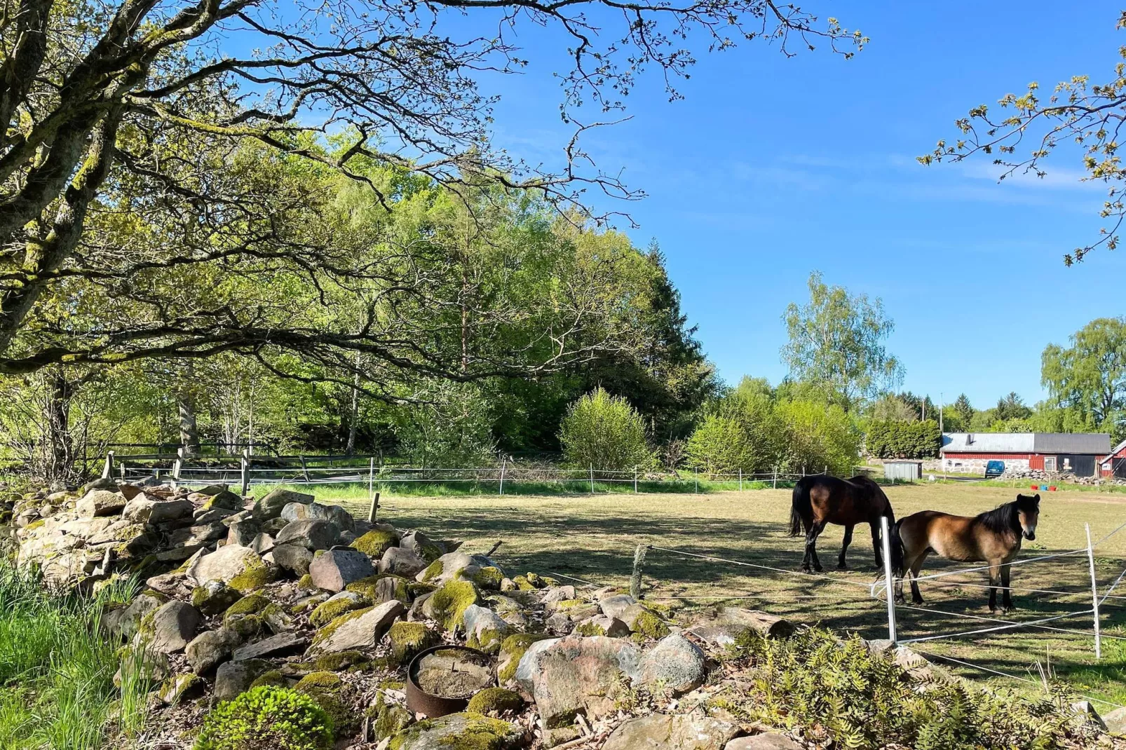 5 persoons vakantie huis in KLIPPAN-By Traum-Buitenlucht