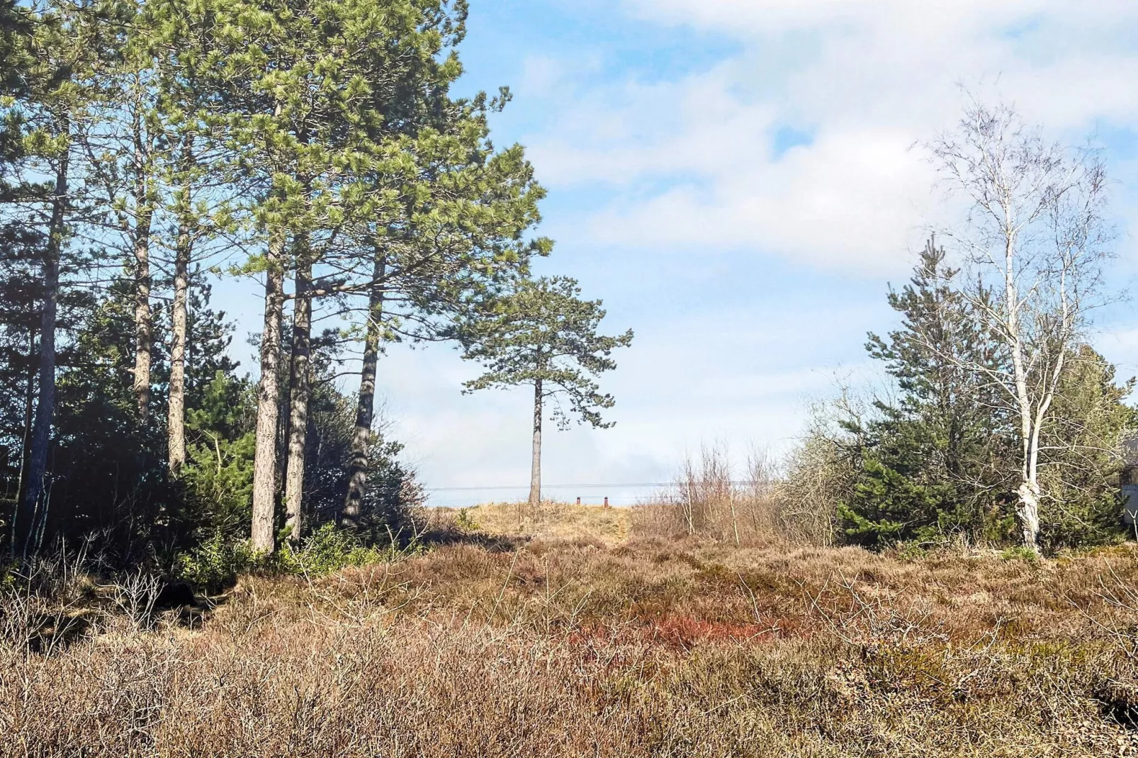 4 persoons vakantie huis in Rømø-By Traum-Waterzicht