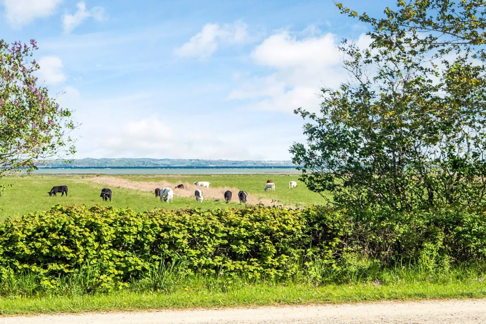 8 persoons vakantie huis in Knebel-By Traum-Waterzicht