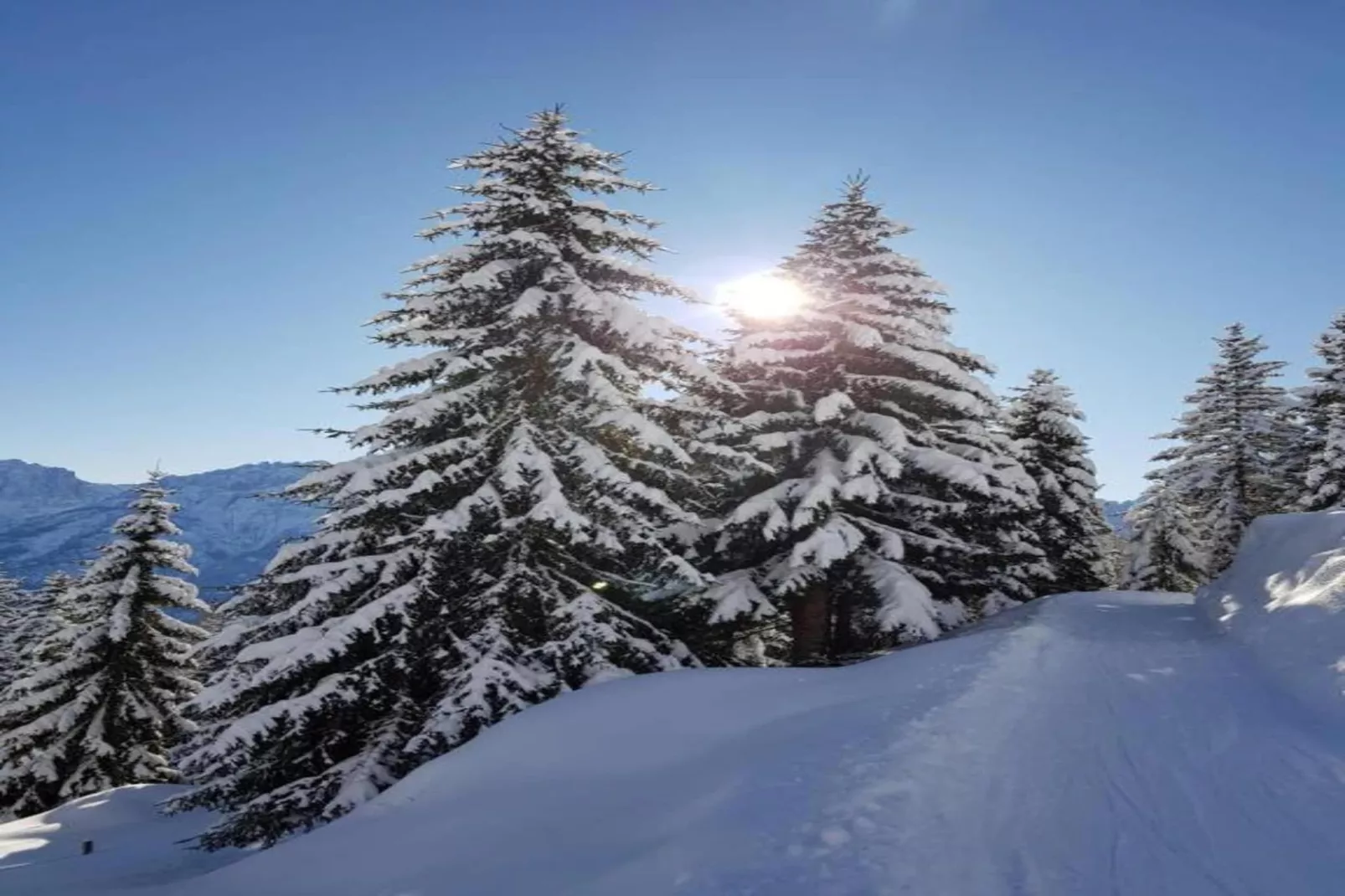 Haus Schweiger-Gebied winter 20km