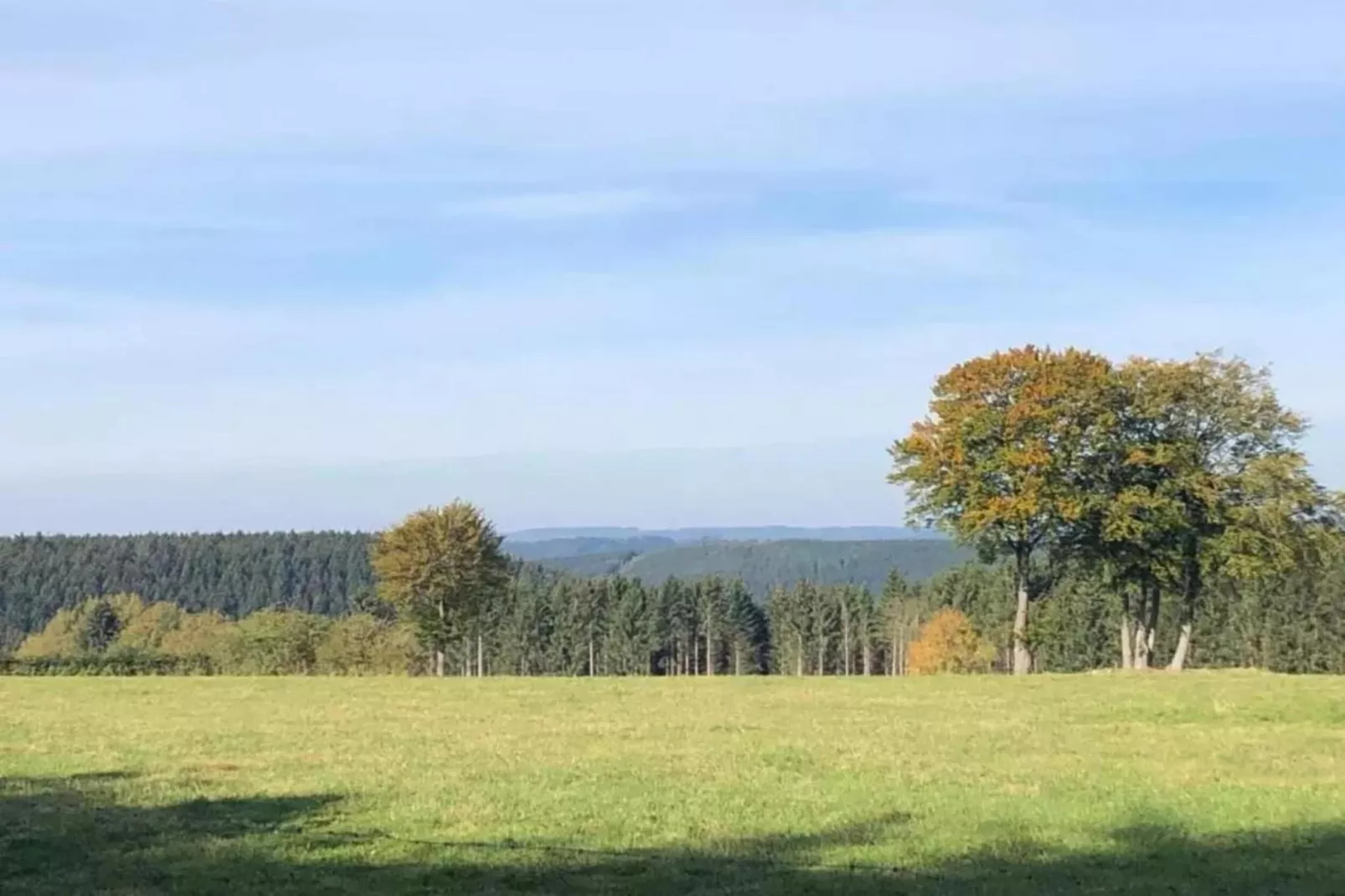 Ardennes Bleu 8 pers maximum-Gebieden zomer 20km