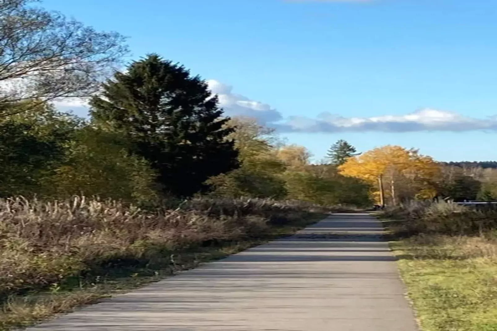 Mise Au Vert-Gebieden zomer 20km