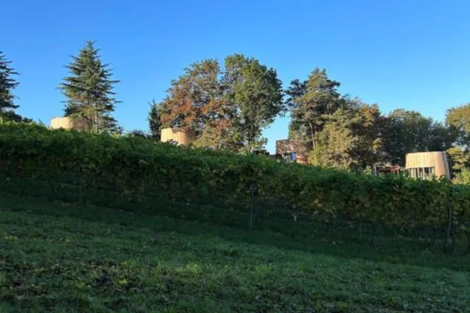 Chalet Choufken-Gebieden zomer 20km