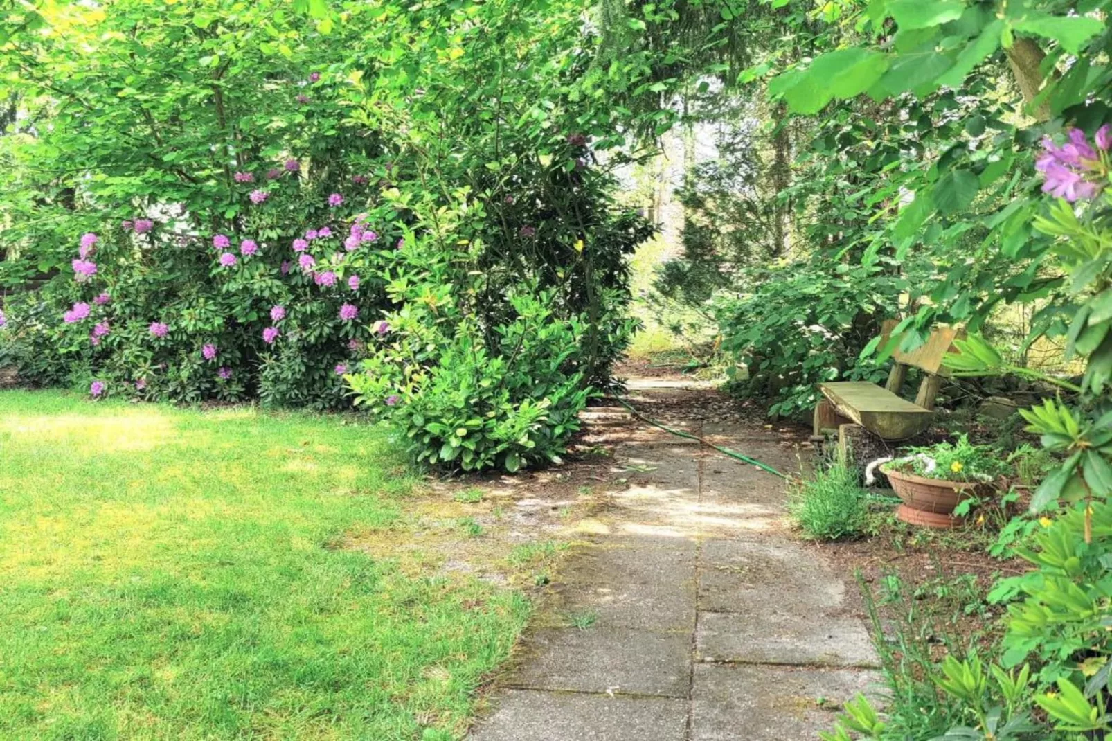 Ferienwohnung auf dem Biobauernhof-Gebieden zomer 5km