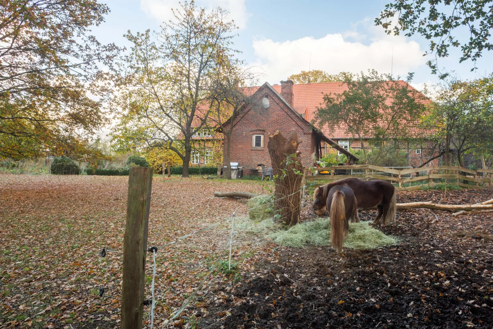 Biobauernhof-Buitenkant zomer