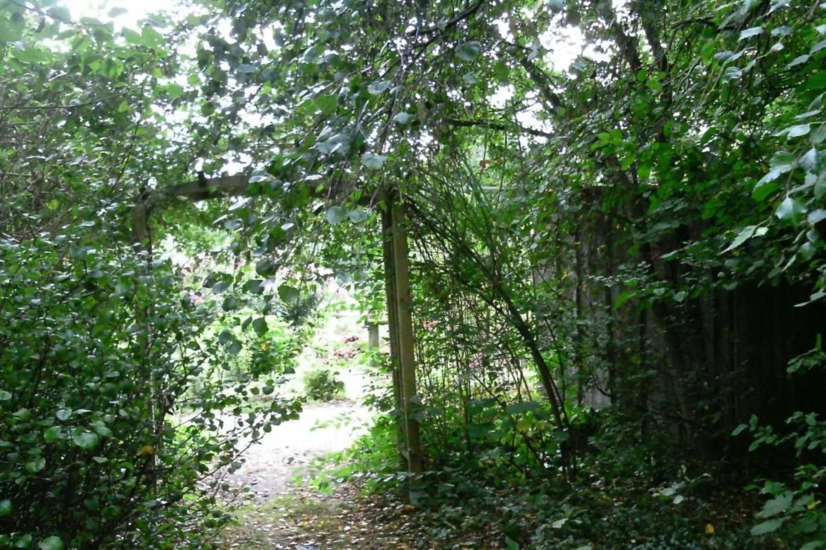 Ericaheidepark-Gebieden zomer 5km