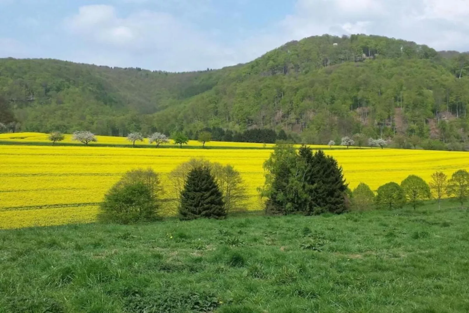 Im Weserbergland-Gebieden zomer 5km