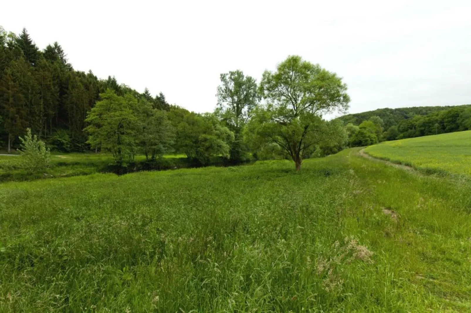 Im Westerwald-Gebieden zomer 20km