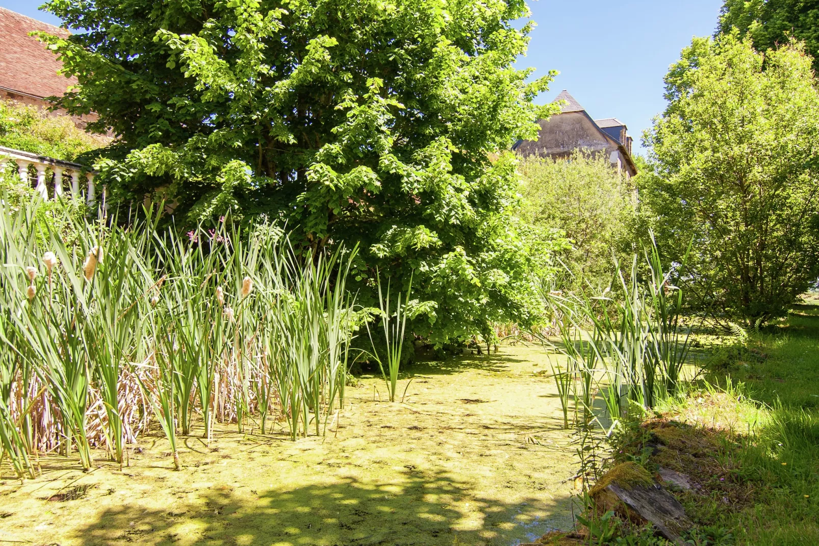 Un Manoir en Dordogne-Gebieden zomer 1km
