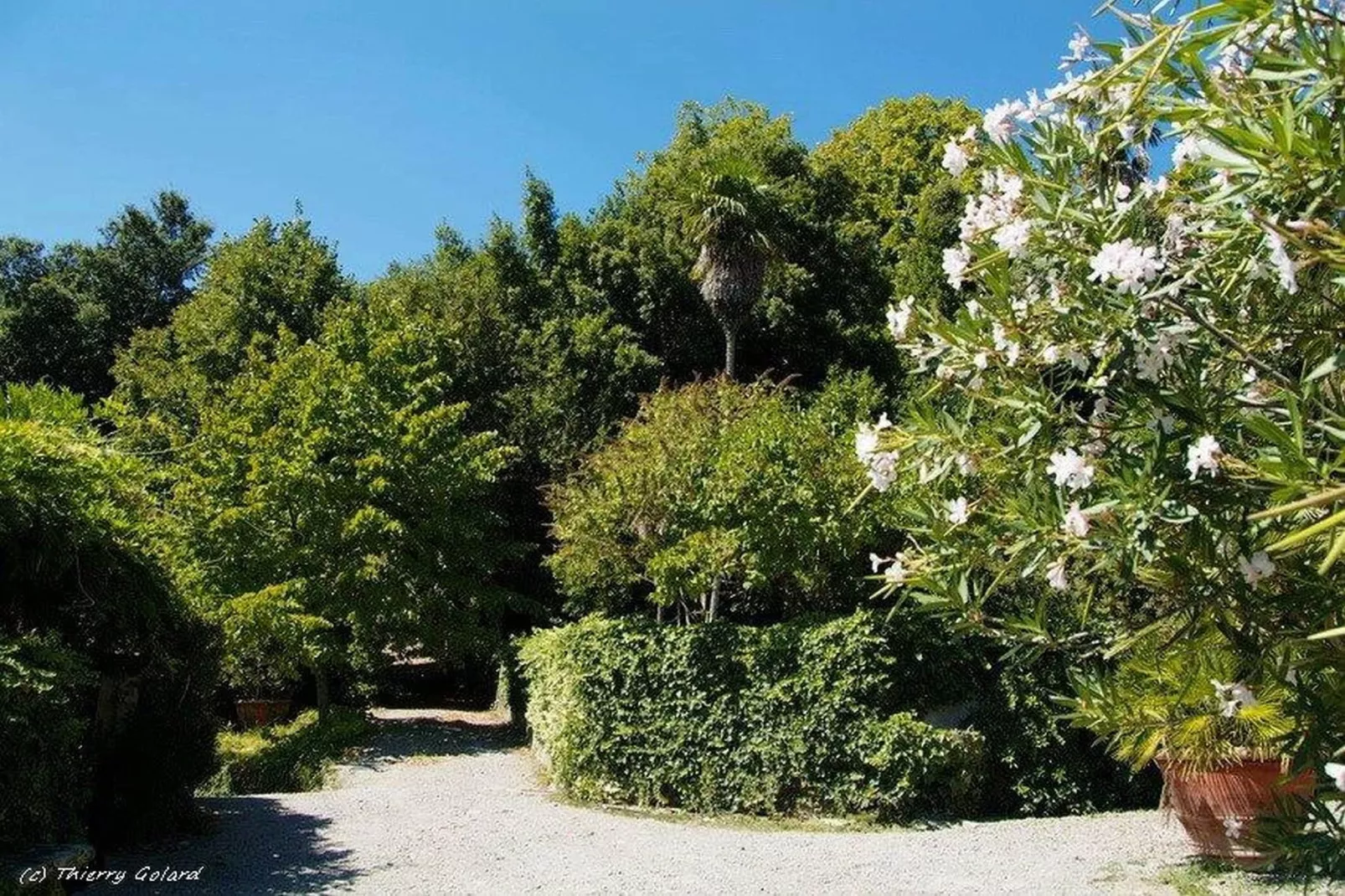 Casa La Fioraia-Tuinen zomer