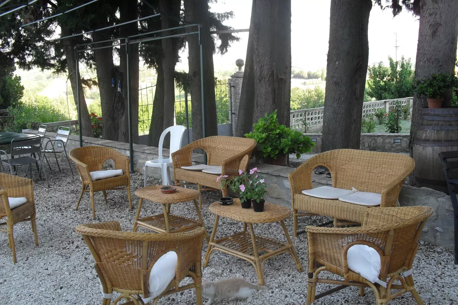 I Molinari-Terrasbalkon