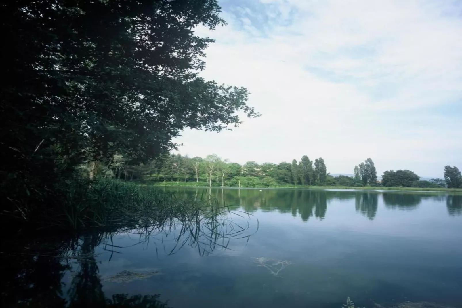 Super Comfort-Gebieden zomer 20km