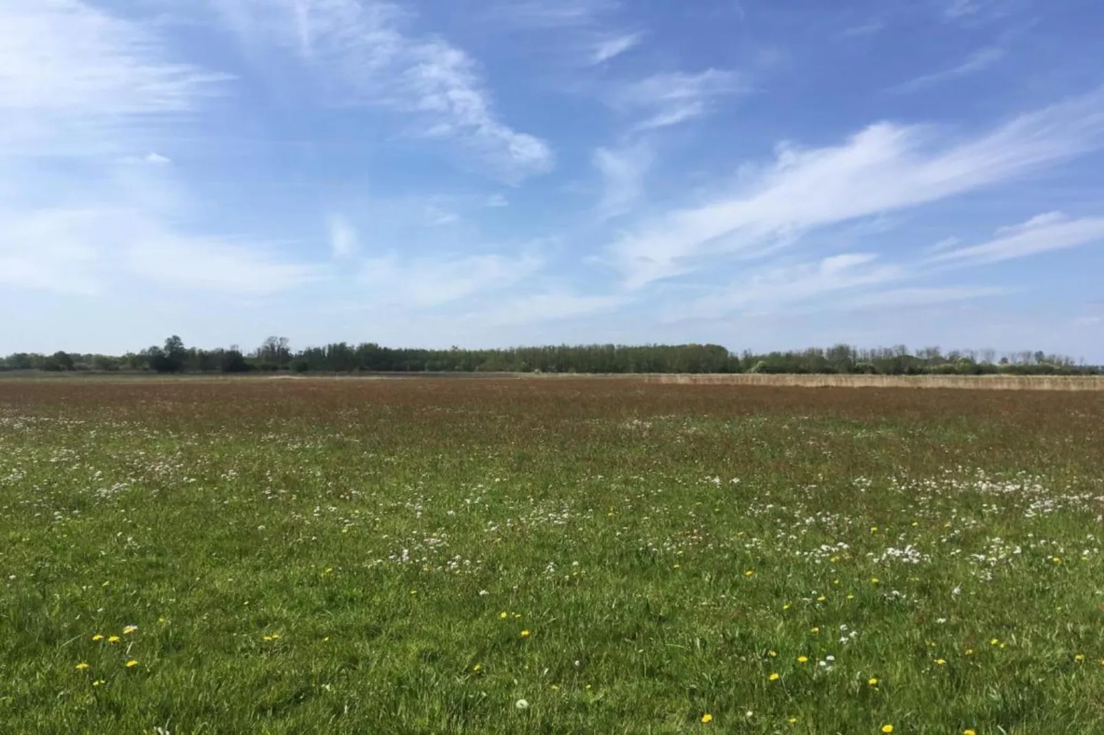 Duinresort Dunimar 1-Gebieden zomer 5km