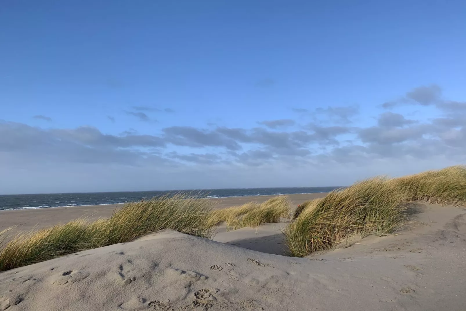 Strandpark Duynhille 2-Gebieden zomer 1km
