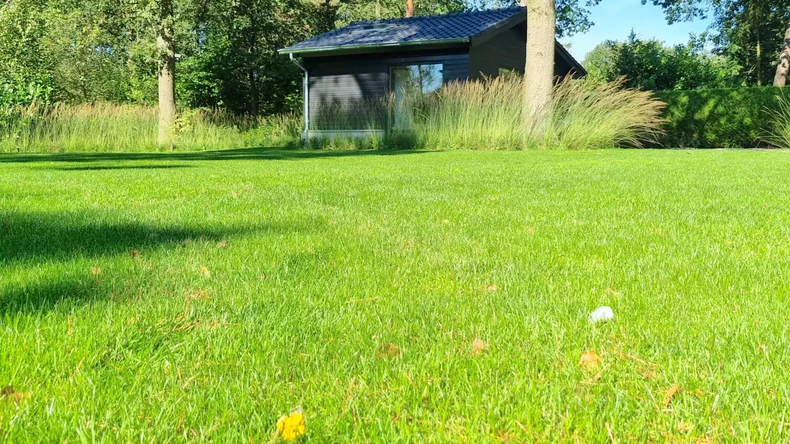 Quercus-Buitenkant zomer