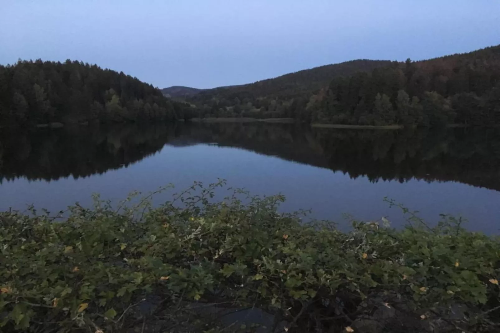 Ferienwohnung Sonne in Harz-Gebieden zomer 20km