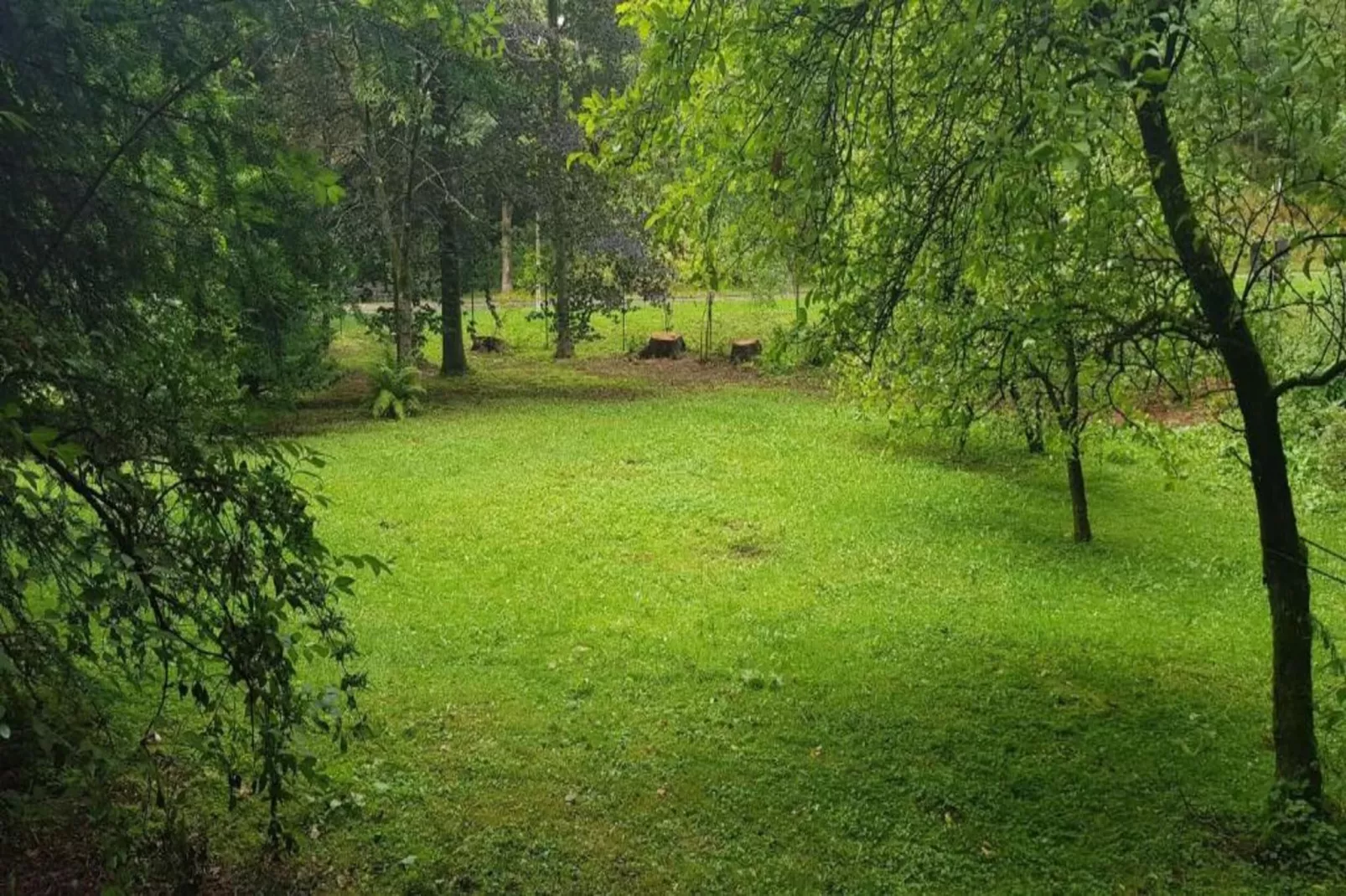 Ferienapartment Afrika in Wildemann Harz-Gebieden zomer 20km