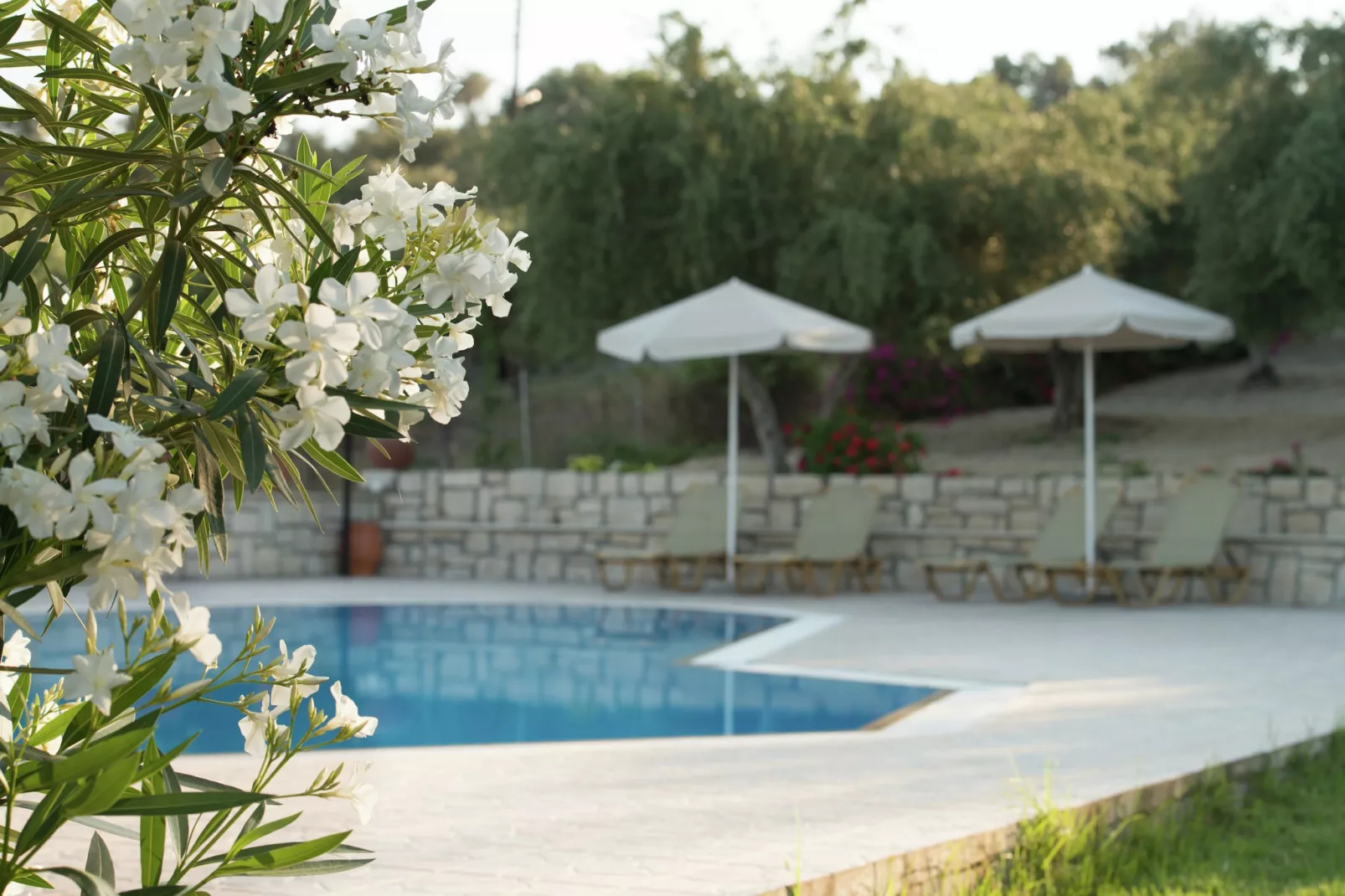Villa Eleni en Manolis-Zwembad