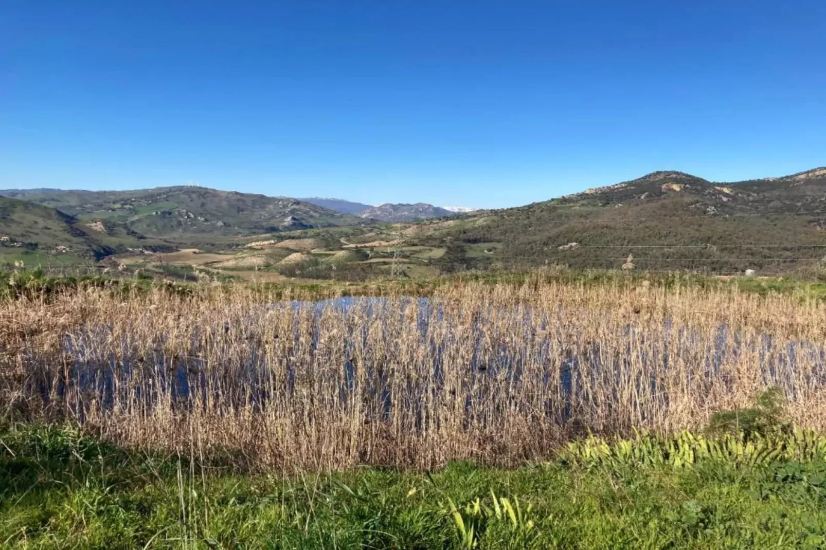 Villa Leonforte-Gebieden zomer 20km