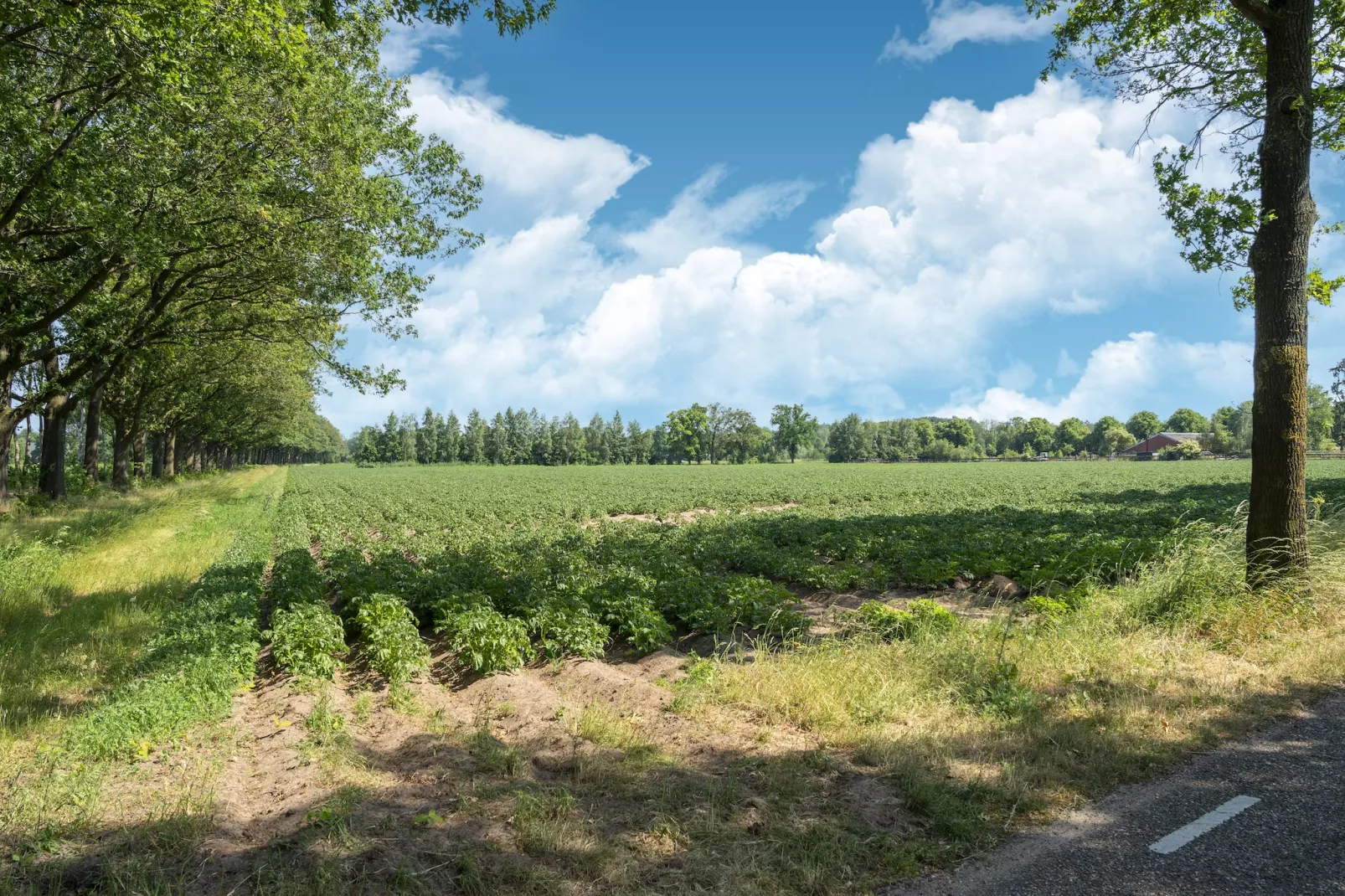 Vakantiewoning de Zwaluw-Gebieden zomer 5km