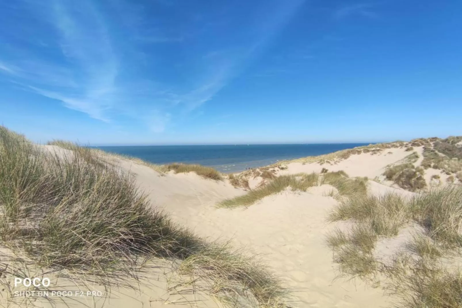 WH95-Gebieden zomer 20km