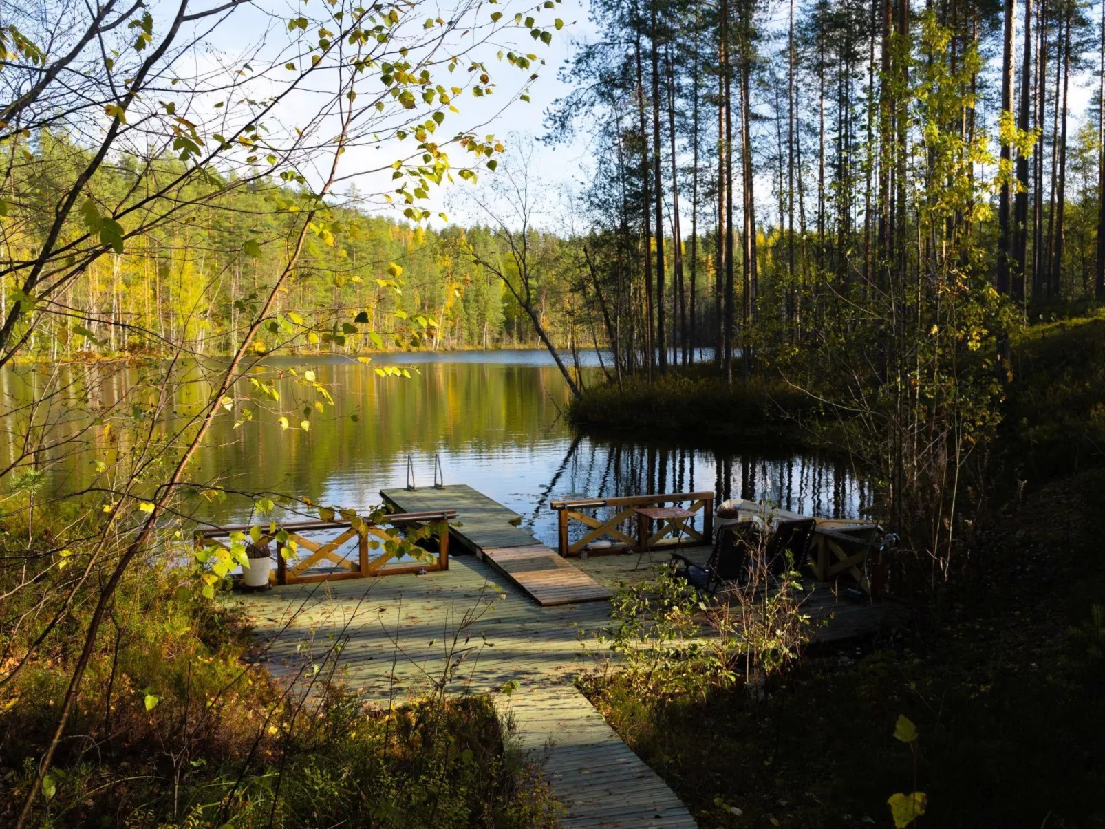 Villa tunturitervakko