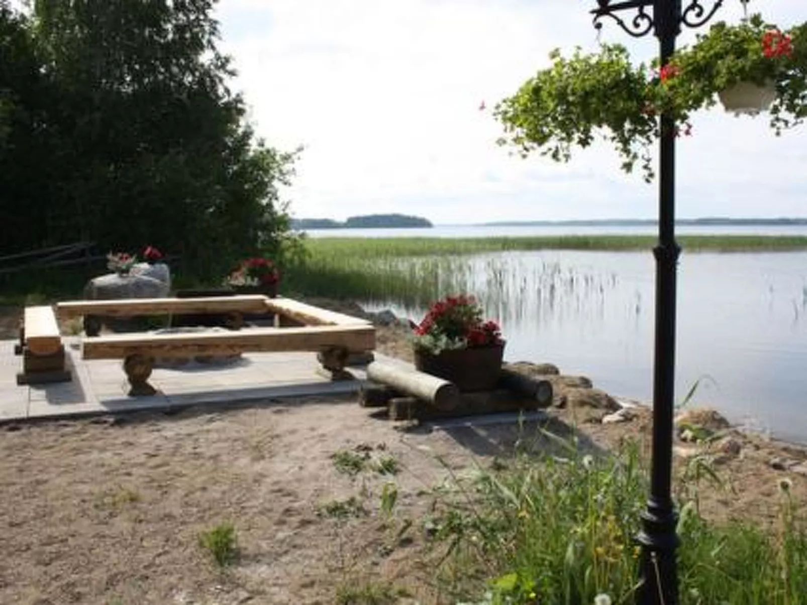 Villa vuorikotka