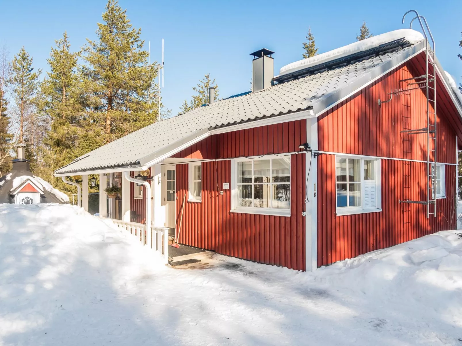 Peukaloinen b1