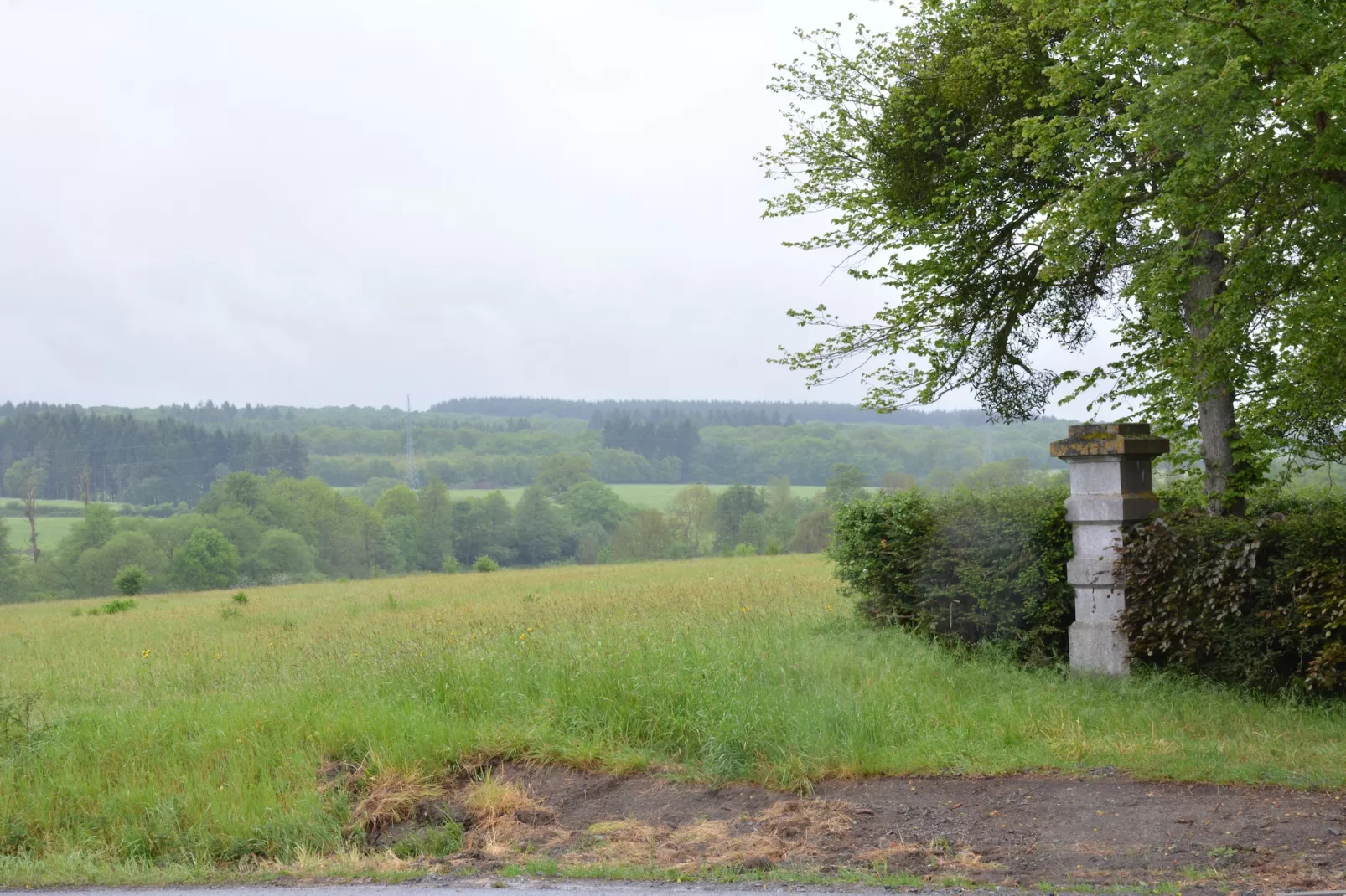 La Drève du Château-Gebieden zomer 1km