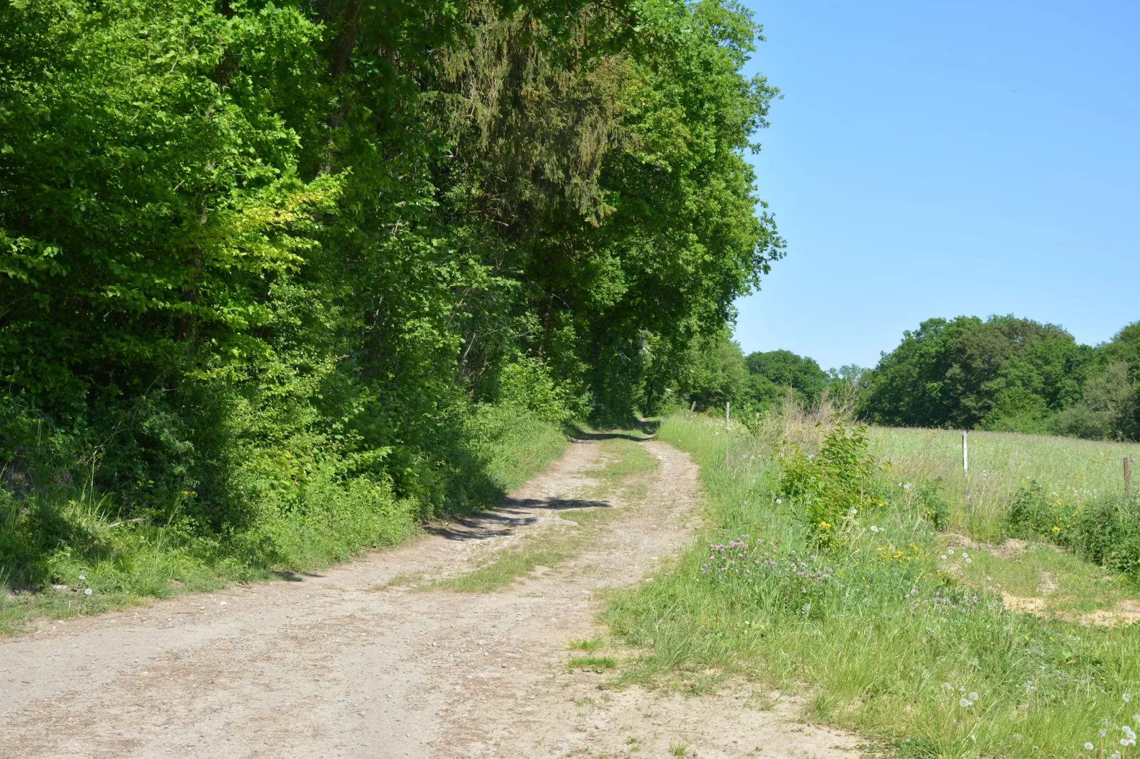 Chant des Pierres-Gebieden zomer 1km