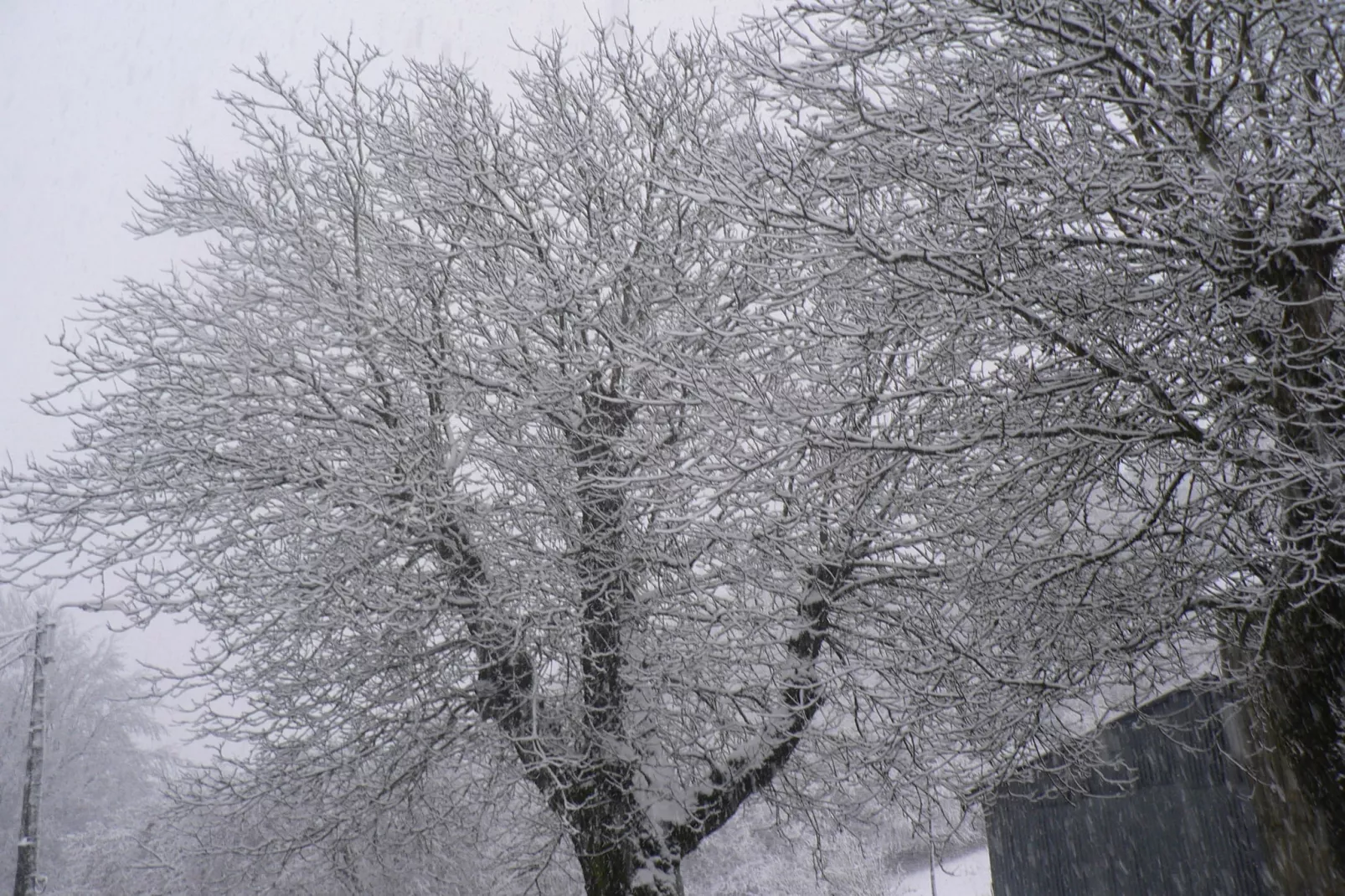 La Bergerie-Tuin winter