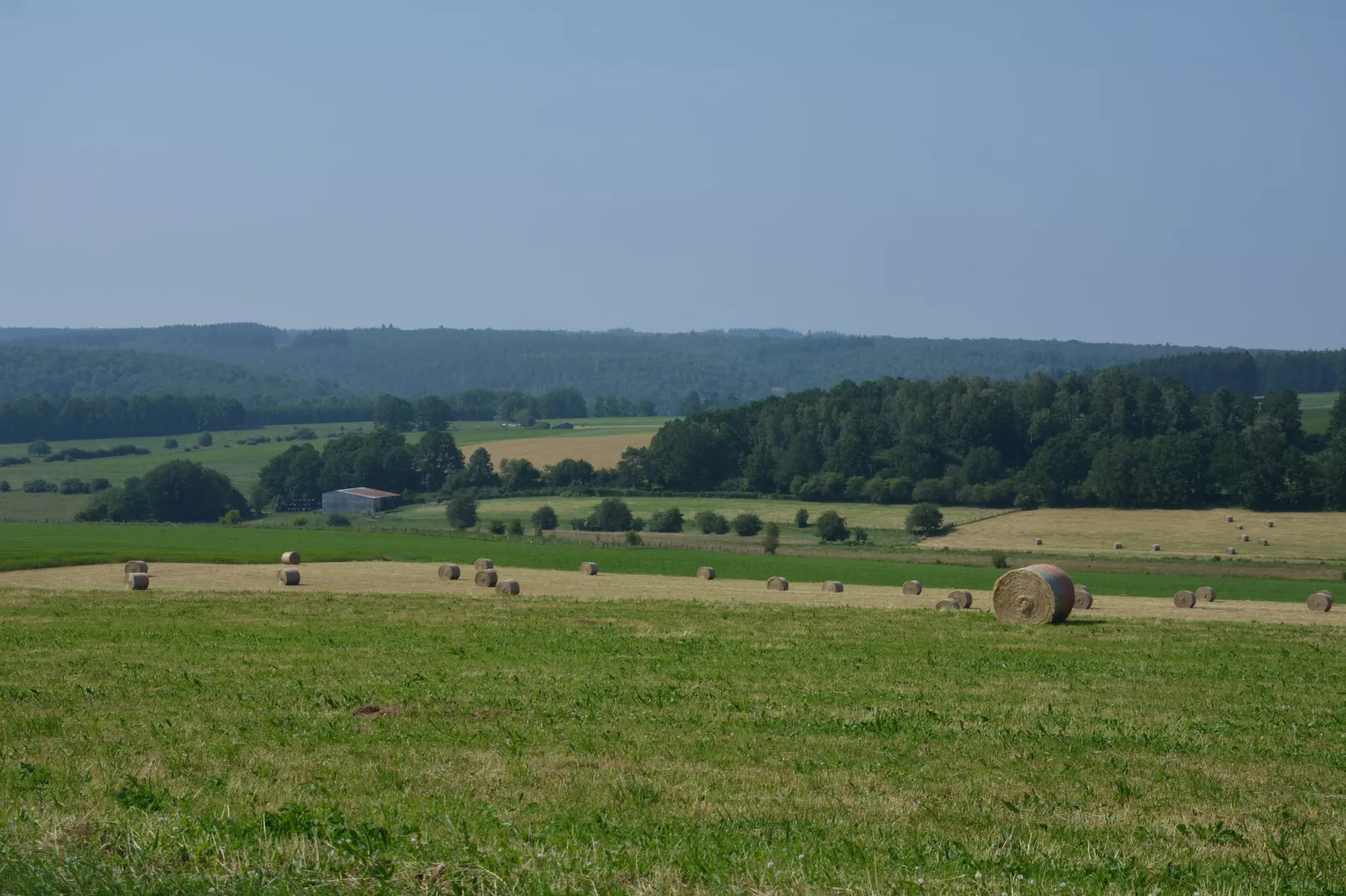 Les Boutons d'Or-Gebieden zomer 20km