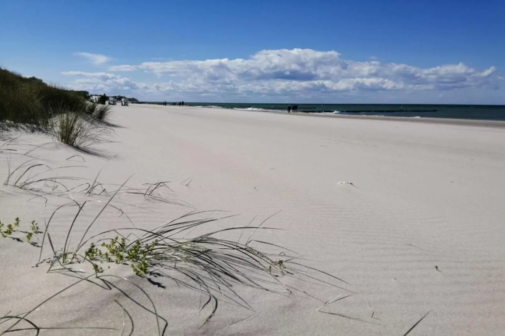 Schwalbenhof im Reetdachhaus-Gebieden zomer 20km