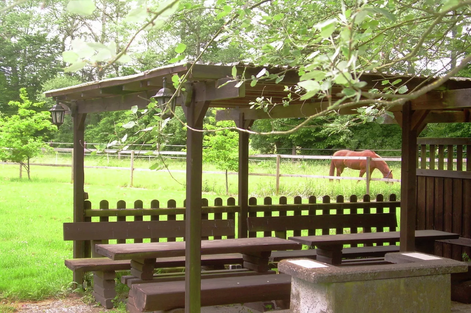 Lüneburger Heide-Tuinen zomer
