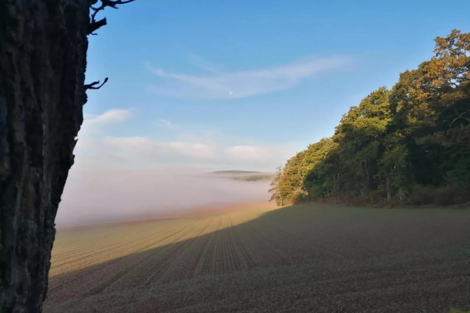 Im Weserbergland-Gebieden zomer 20km