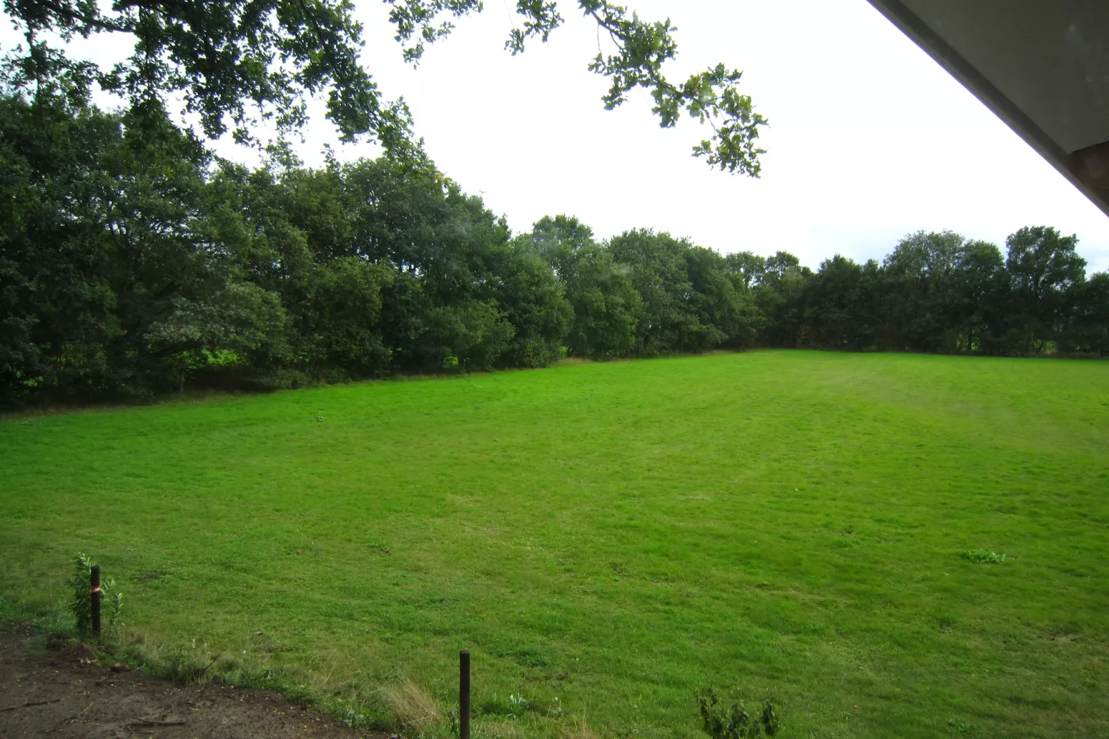 Veldzicht-Uitzicht zomer