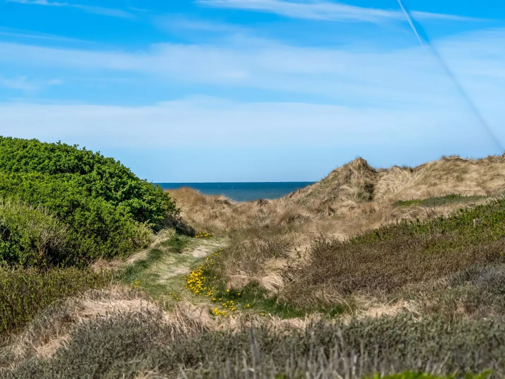 "Erko" - 150m from the sea-Buiten
